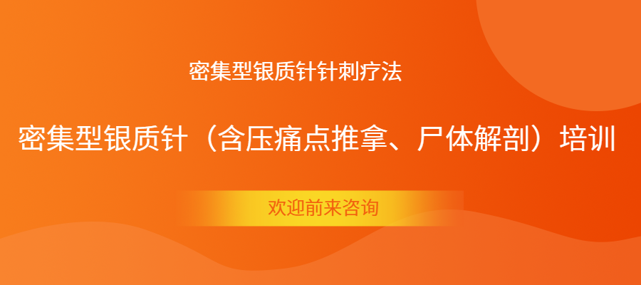 2025年上海赵毅密集型银质针培训班