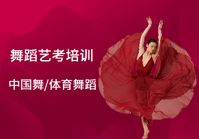 舞蹈艺考培训（中国舞，体育舞蹈）